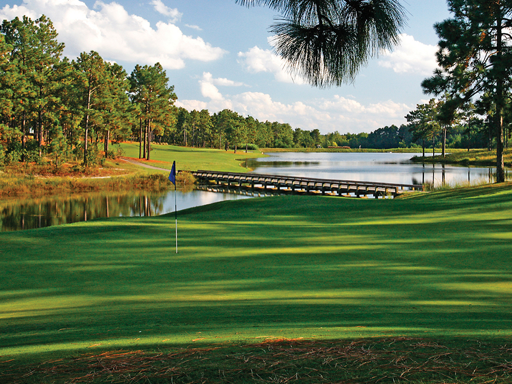 Golf green and longleaf pines in the Sandhills near Pinehurst
